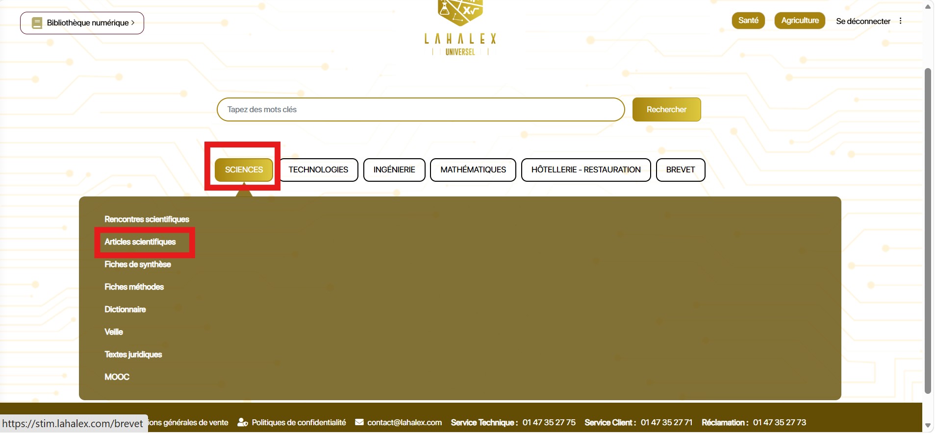 Comment consulter un article ?
