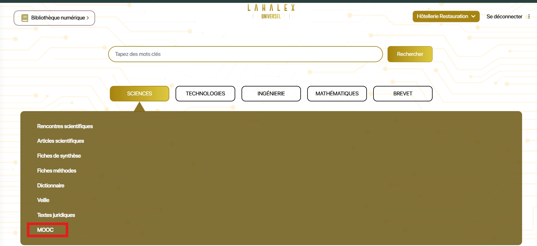 Qu’est-ce qu’un MOOC et comment y accéder ?